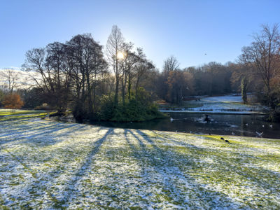 Frost covered grass with shadows of trees