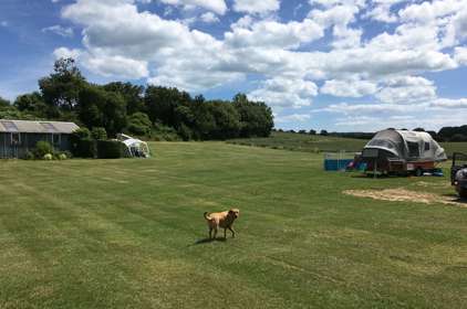 Campsite at Solley's Ice Cream Parlour, Ripple, nr Deal