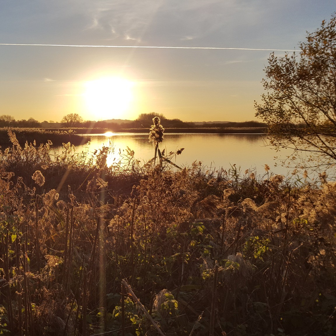 Sandwich Bay Bird Observatory Trust