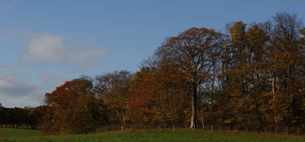 White Cliffs Country, Kent, Autumn colours