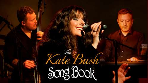 The 3 members of Cloudbusting performing on stage