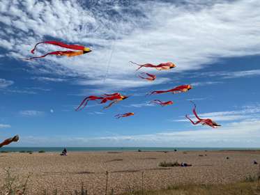 Kites on Walmer Beach