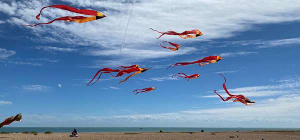 Kites on Walmer Beach