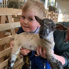 Little boy holding a new born lamb