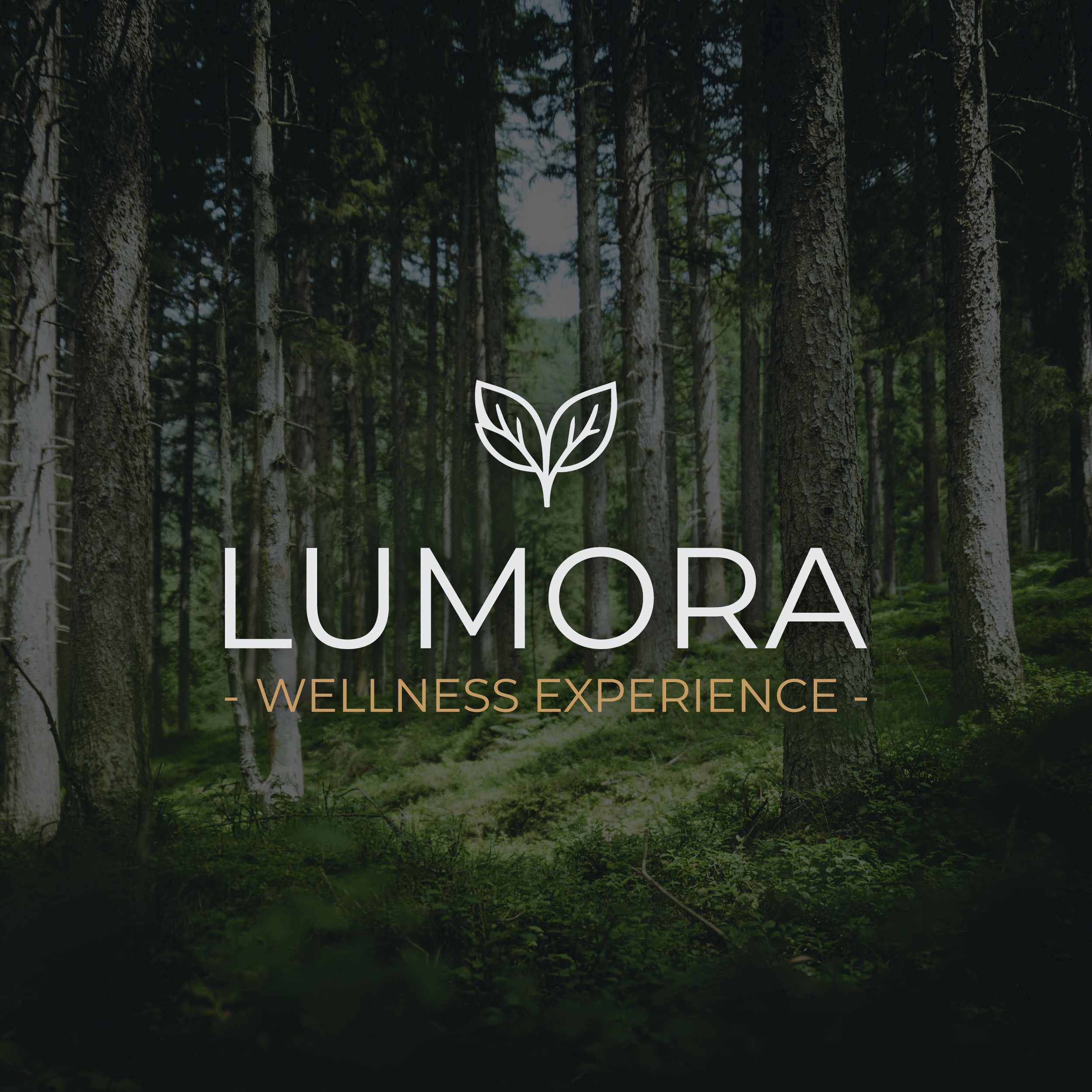 Forest scene with Lumora logo overlayed