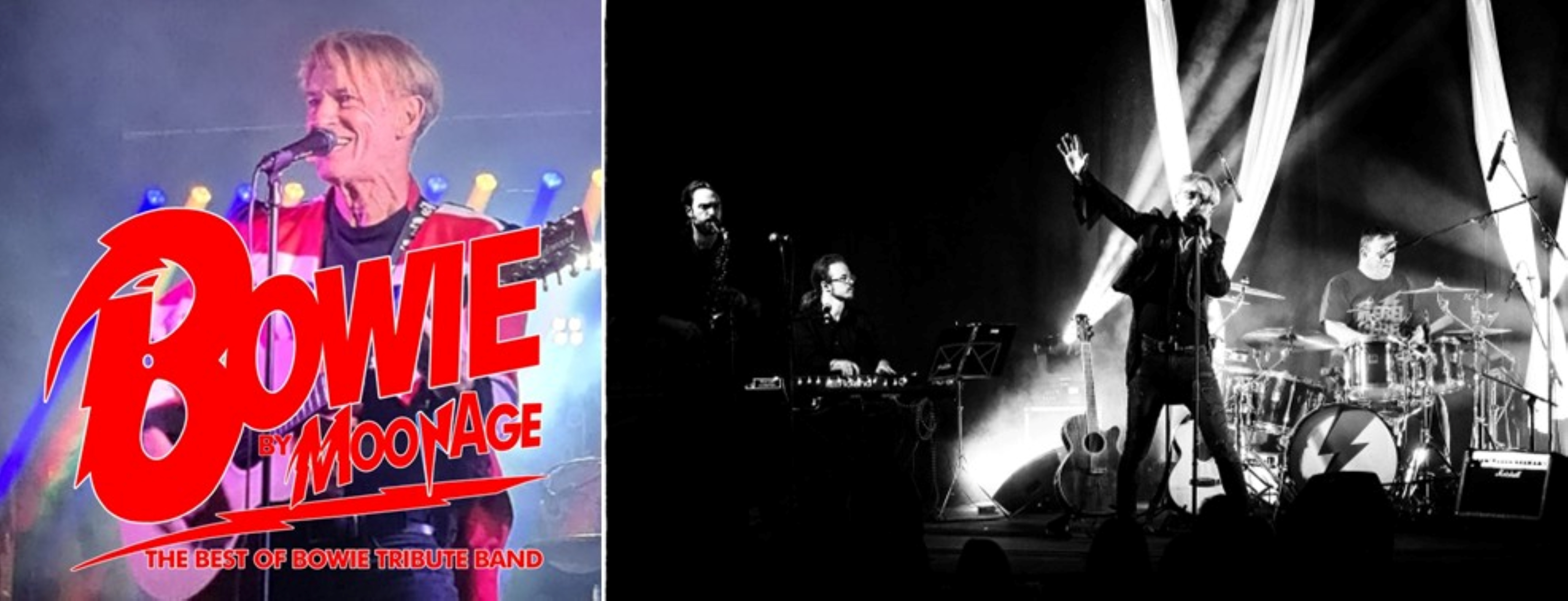 Bowie Moonage Tribute band