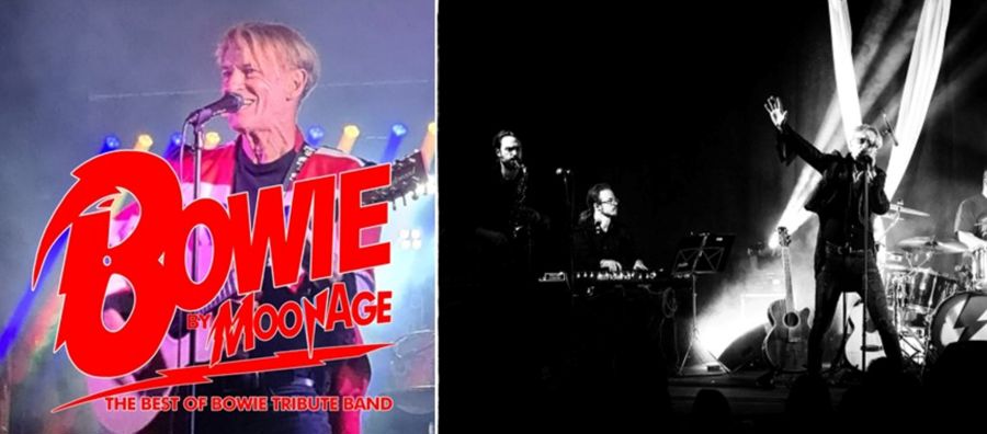 Bowie Moonage Tribute band