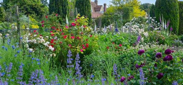 Goodnestone Manor visible in the background with colourful flowers and topiary in the foreground