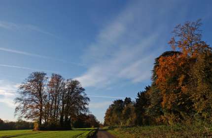 Country lane in Northbourne
