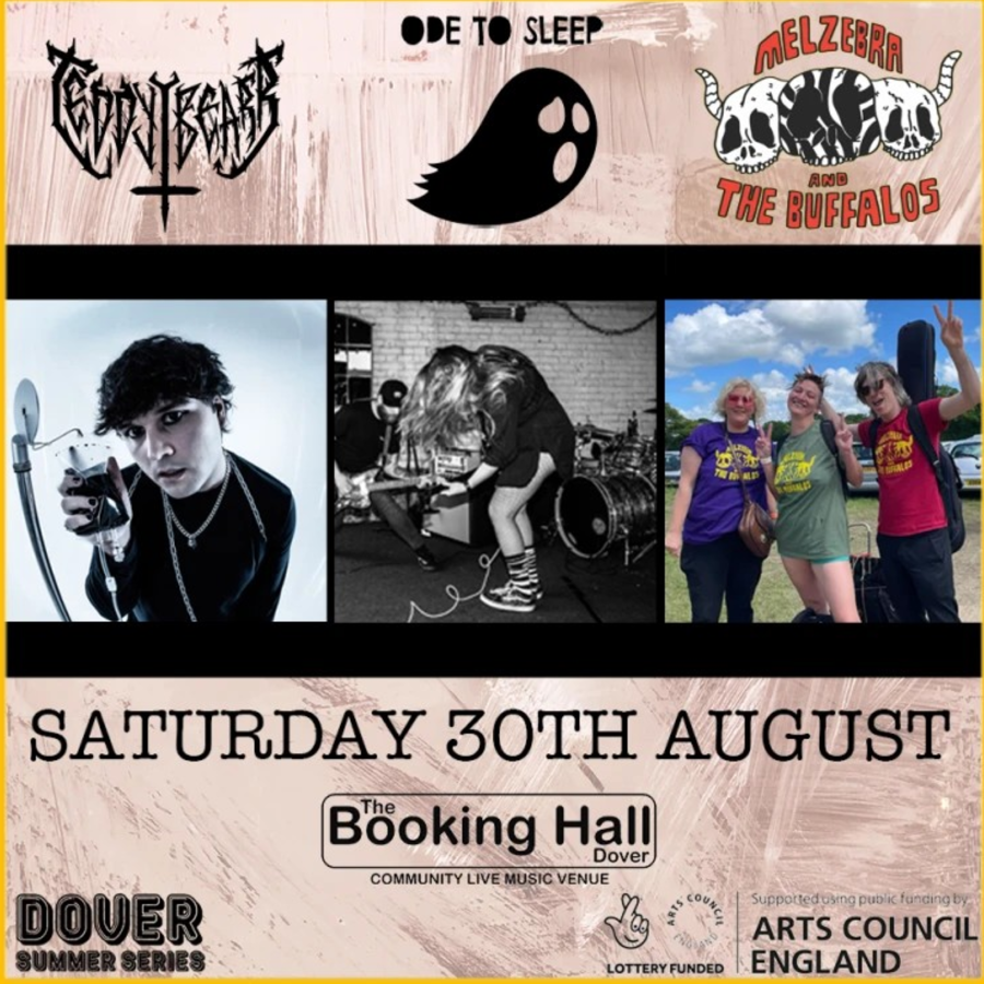 3 photos of the music bands Ode to Sleep, TeddyyBear & MelZebra & thE buFFALOS