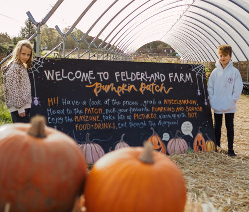 A pile of pumpkins in front of a sign saying 'Welcome to Felderland Farm Pumpkin Patch' with two children standing beside.