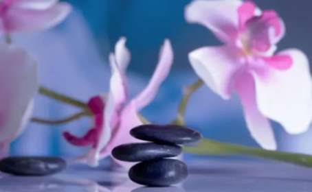 Four relaxation spa massage stones with pale pink flowers in background