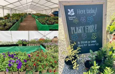 Potted plants in a greenhouse and a chalkboard advertising the sale