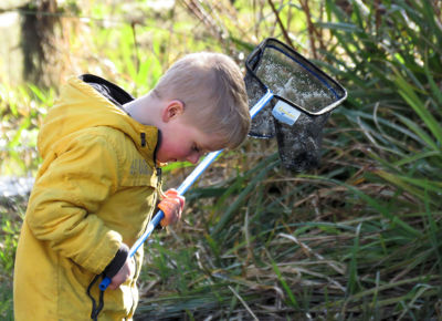 A blond-haired boy wearing a yellow waterproof jacket and holding a pond-dipping net looking down at a pond at his feet.