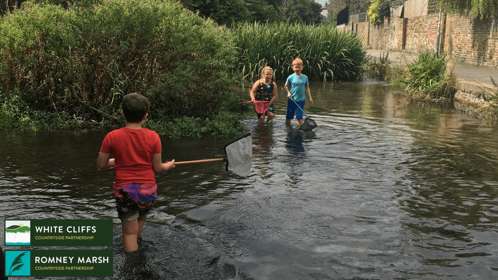 Three children with nets in knee height water