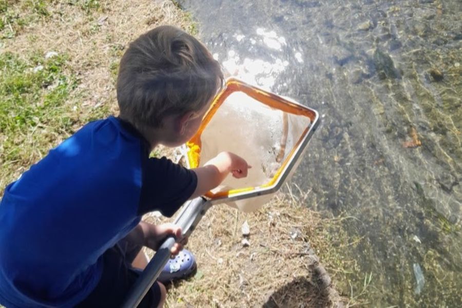 A child holding a net over a chalk river