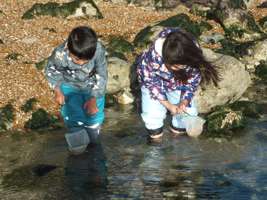 Two young children with fishing nets standing in a rockpool