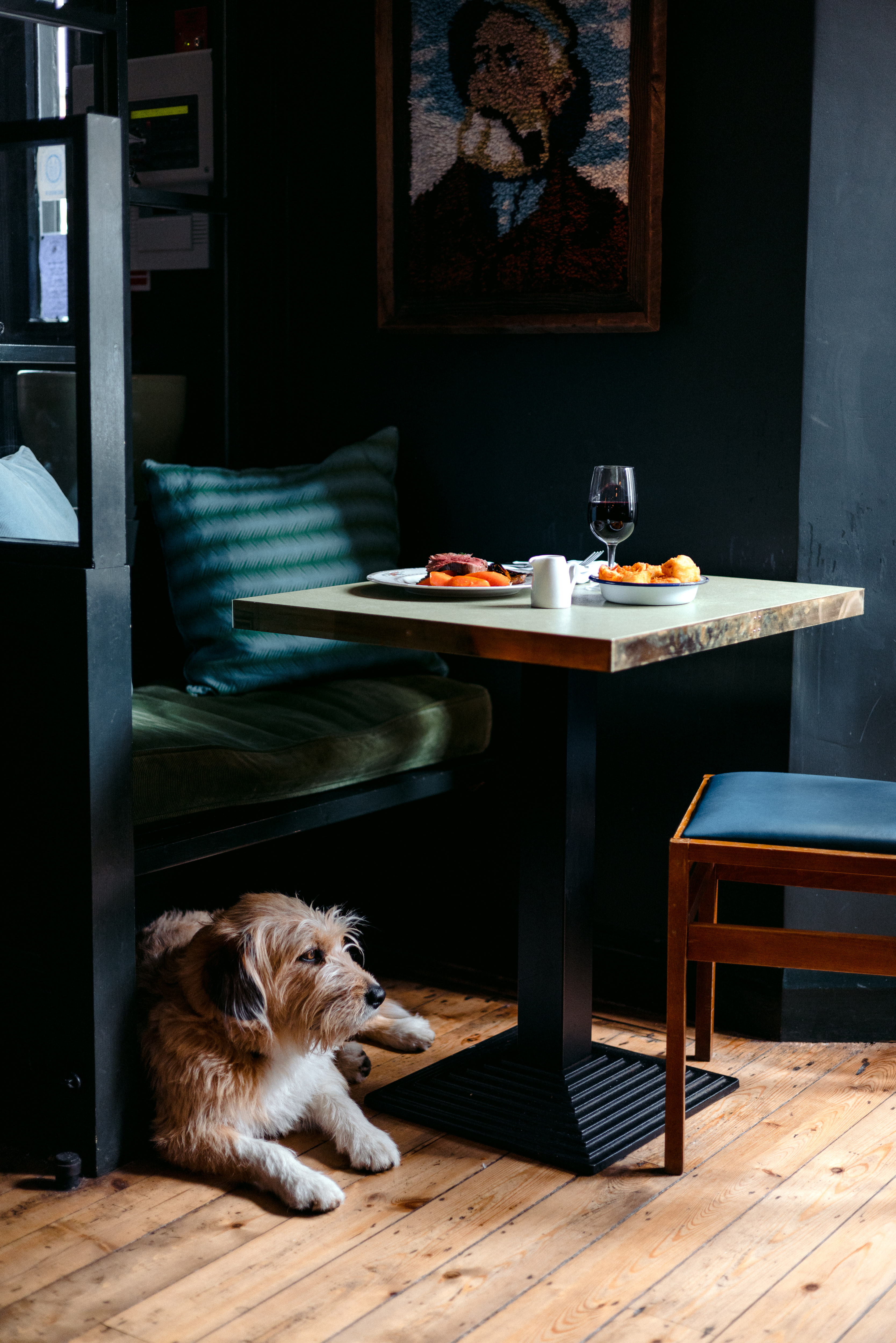 A brown and white dog lying on a wooden floor under a bench next to a table laid with food and a glass of wine