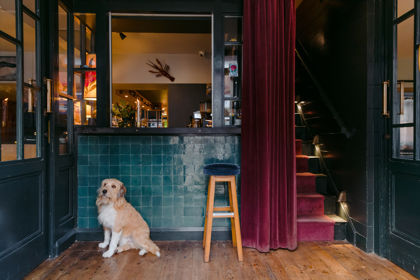 A sandy coloured dog sitting in front of a blue-tiled hotel reception.