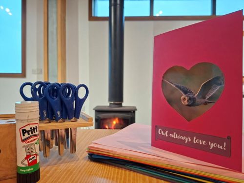 Valentine's card and supplies