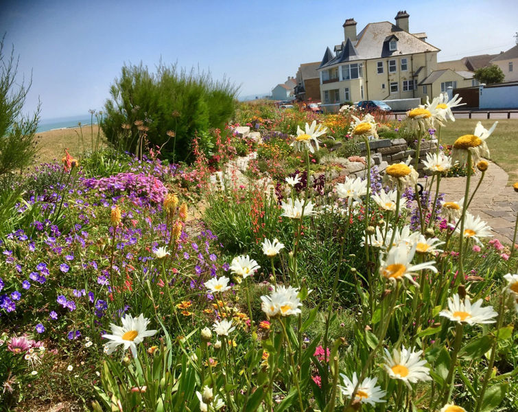 Sandown Castle Community Garden White Cliffs Country