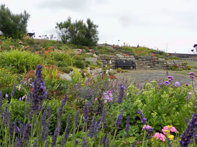 sandown-castle-community-garden-white-cliffs-country