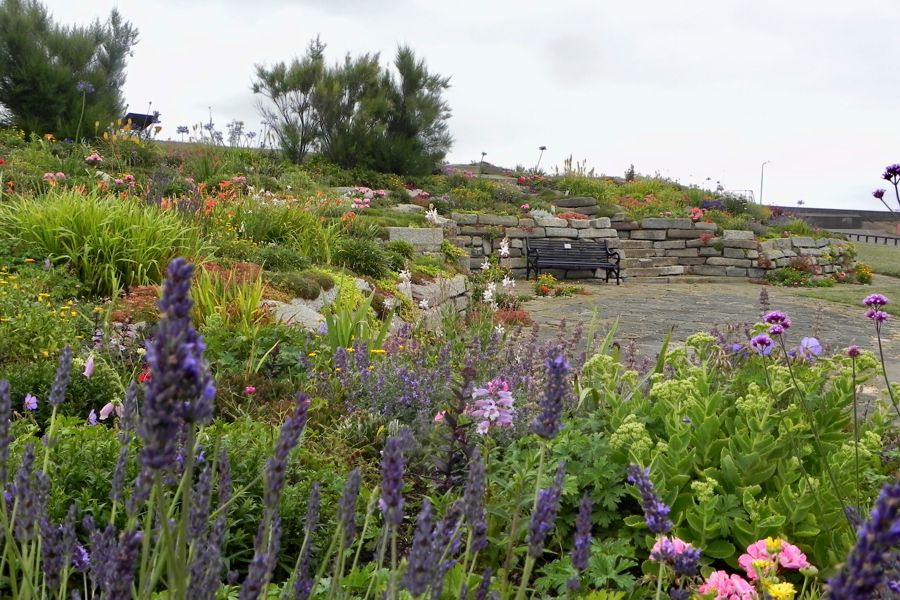 Sandown Castle Community Garden White Cliffs Country sandown-castle-community-garden-white-cliffs-country