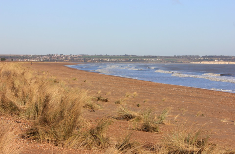 Dunes, a sandy beach and the sea