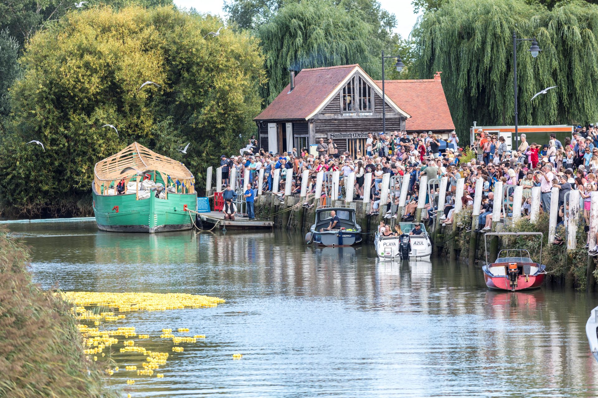 Yellow rubber ducks on a river with a crowd looking on.