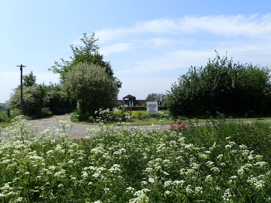 Observatory in the Spring