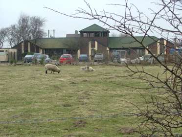 Sandwich Bay Bird Observatory