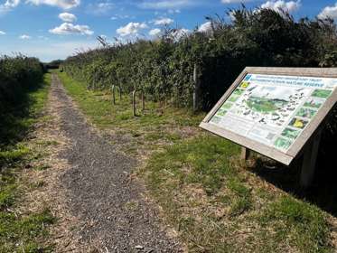 Reserve path at Sandwich Bay