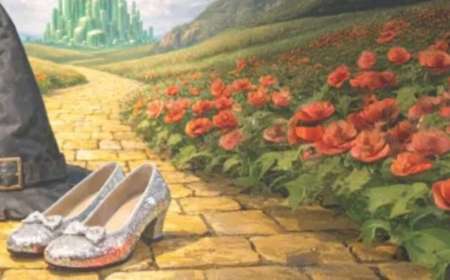 Sparkly silver shoes and a witches hat on a yellow brick road 