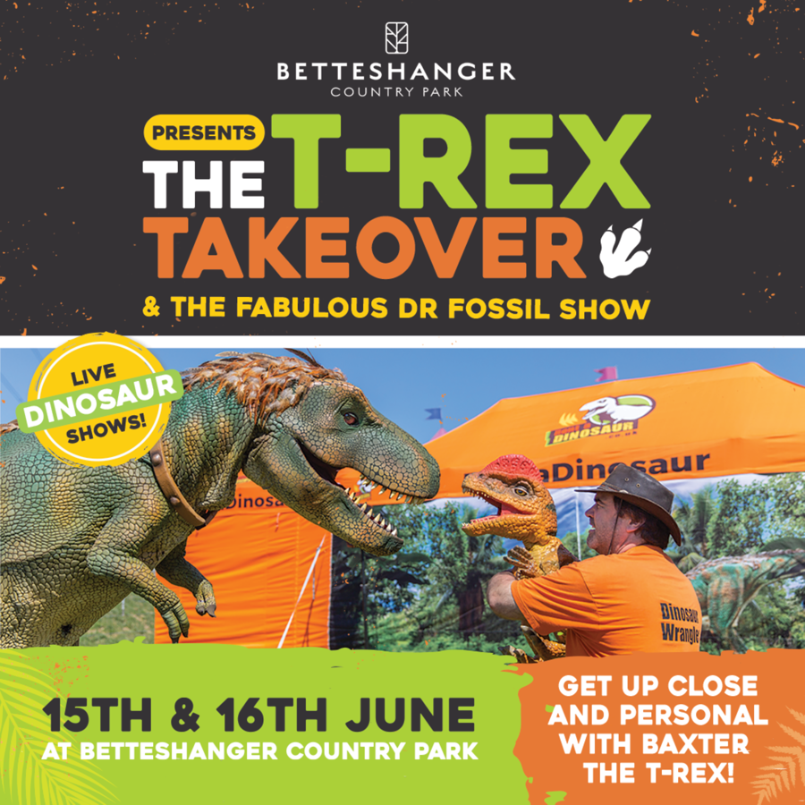 Poster The T-Rex Takeover & The Fabulous Dr Fossil Show showing a puppet T - Rex and a man with a smaller dinosaur