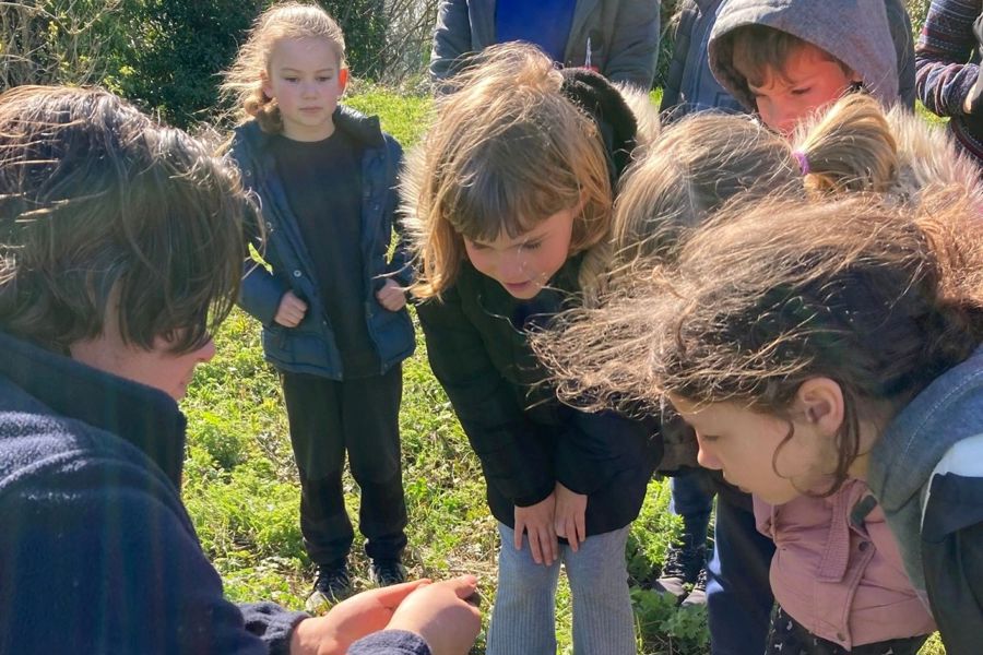 A group of children on a nature discovery session