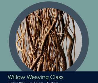 Willow branches