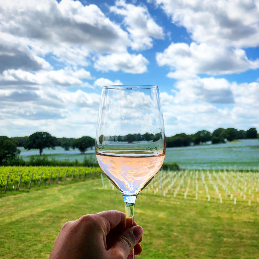A hand holds up a glass of rosé wine with fields and vineyards as a backdrop