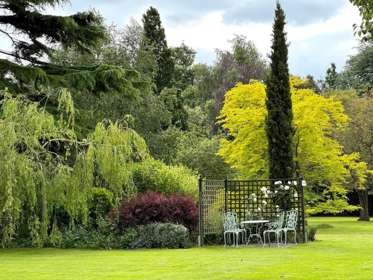 A beautiful garden with trees shrubs and garden furniture