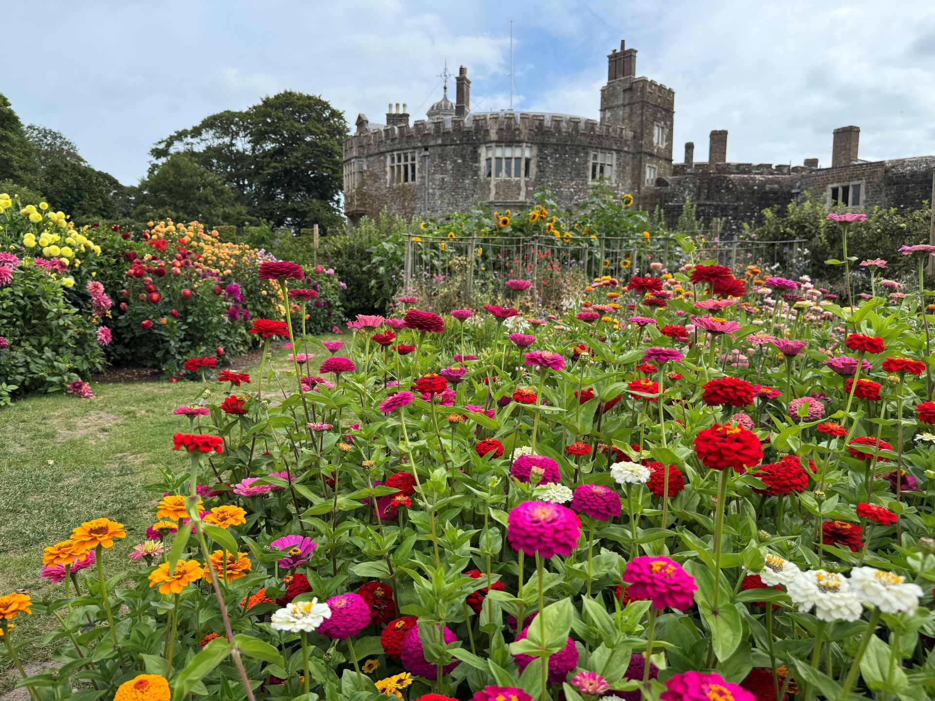 Colourful flowers with a castle in the background