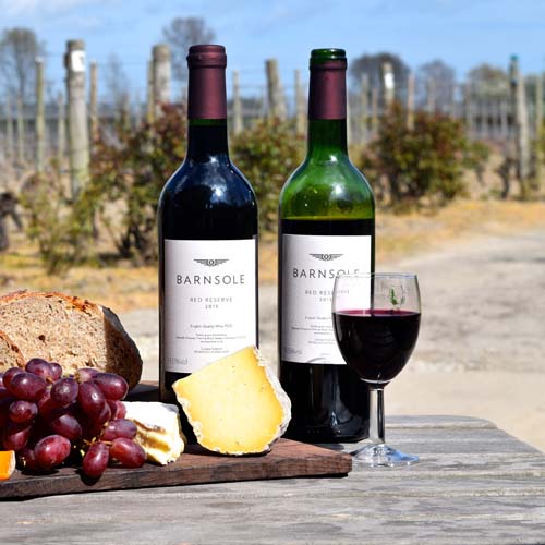 Barnsole Vineyard, Staple, winery, vineyard, tours, wine tasting