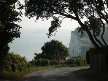 A view of the White Cliffs chalk face through the trees - a regular feature on an England Plus tour. 